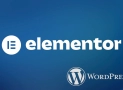 ELEMENTOR: Plugin WordPress – Ulasan, Pro & Kontra
