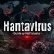 What Is Hantavirus?