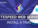 Server Web LiteSpeed ​​- Recenzie, argumente pro și contra