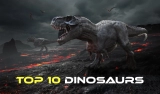 Top Ten Biggest Dinosaurs