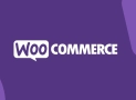 WooCommerce Hosting: Sähköisen kaupankäynnin unelmiesi tehokkuutta