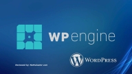 WP Engine – 為 WordPress 量身定制的虛擬主機